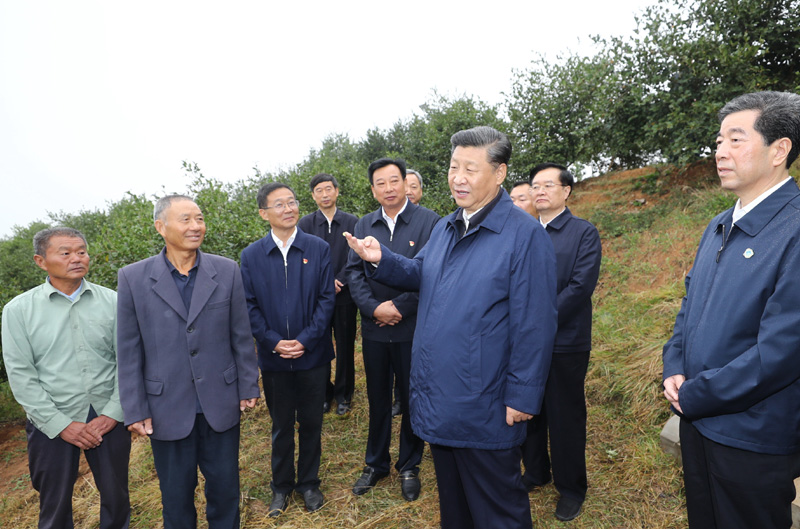 　　9月16日至18日，中共中央總書(shū)記、國(guó)家主席、中央軍委主席習(xí)近平在河南考察。這是17日上午，習(xí)近平來(lái)到信陽(yáng)市光山縣槐店鄉(xiāng)司馬光油茶園，同正在勞作的村民和管理人員交流。 新華社記者 鞠鵬 攝